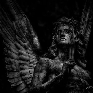 Meet your Posher, Jose